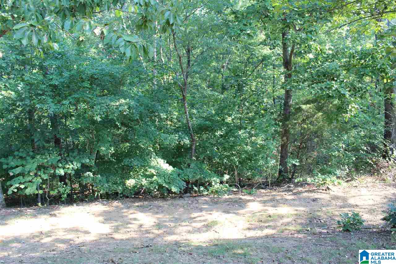 444 Highway 27 Oneonta, AL 35121 - Photo 35 of 39