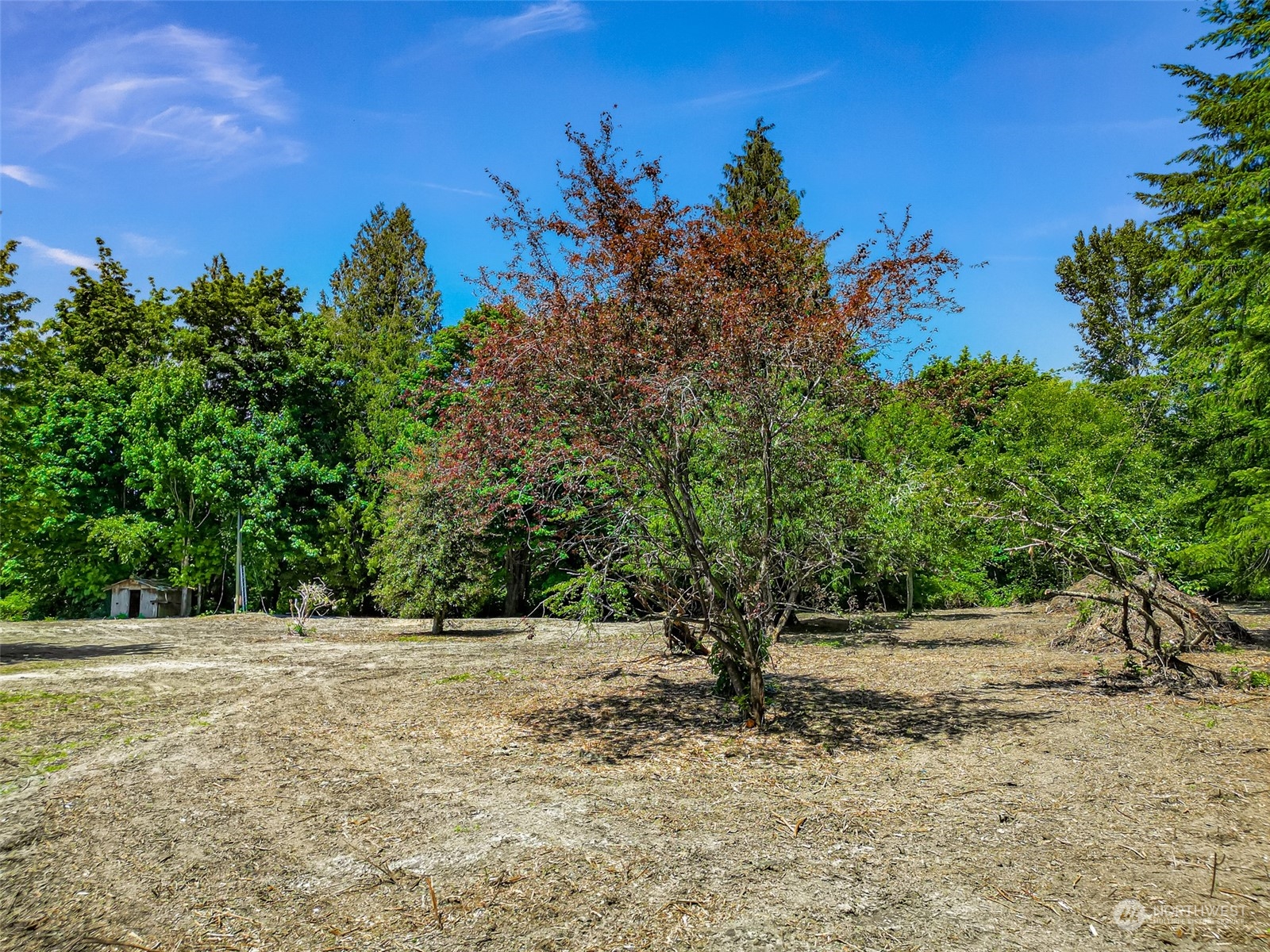 24623 Ranch Road Sedro-Woolley, WA 98284 - Photo 32 of 33 Gallery Image 32