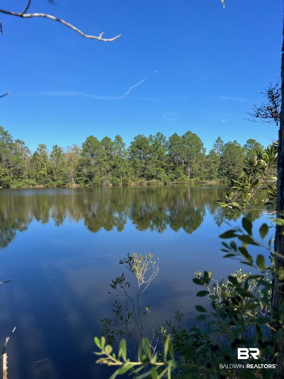 14780 Bellingrath Road Coden, AL 36523 - Photo 1 of 10 Property view of water