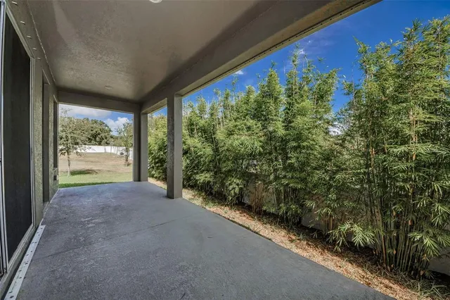 a view of a garden from a window