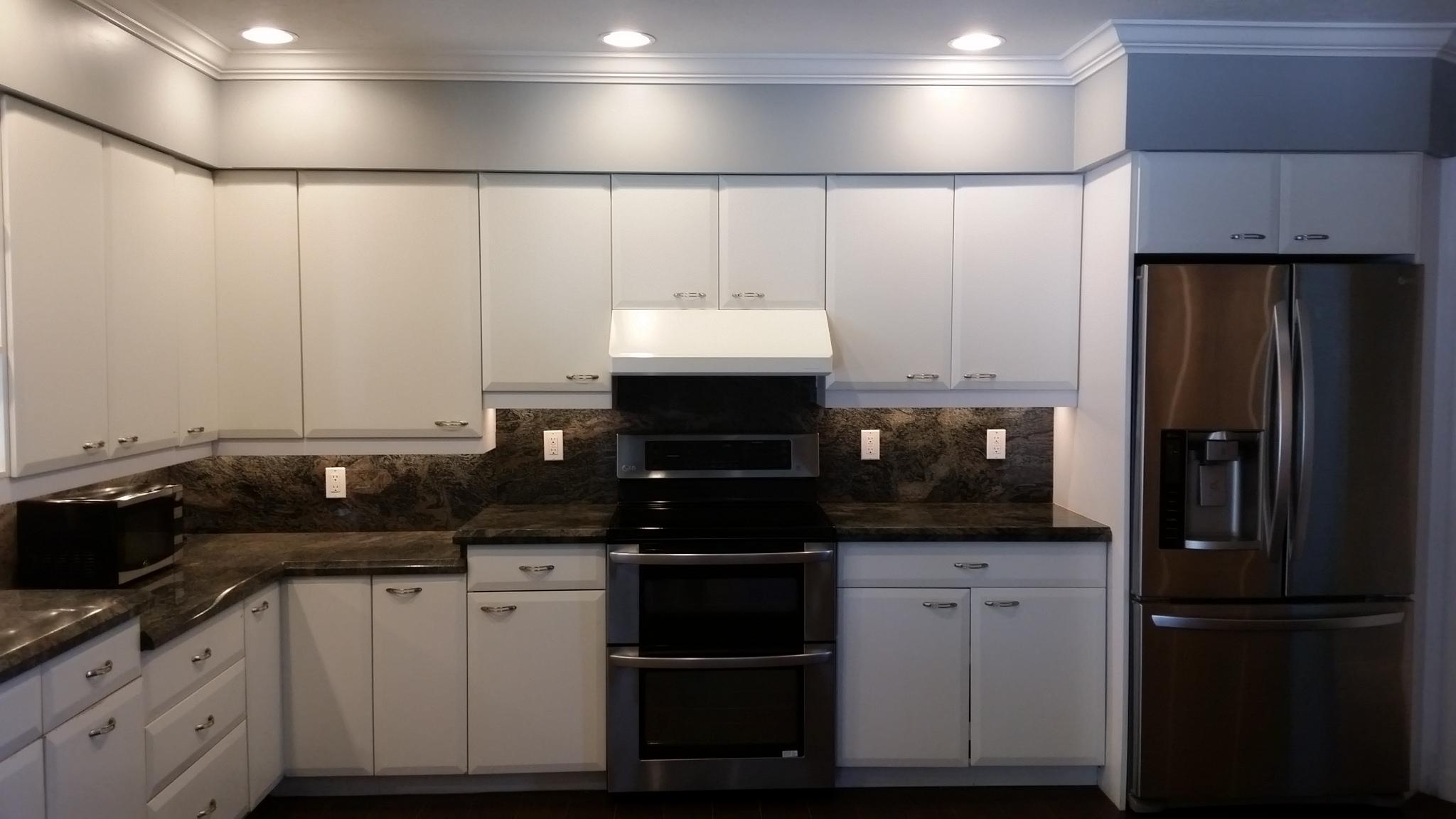 498 Northeast 37th Street Boca Raton, FL 33431 - Photo 8 of 29 a kitchen with a sink and a refrigerator