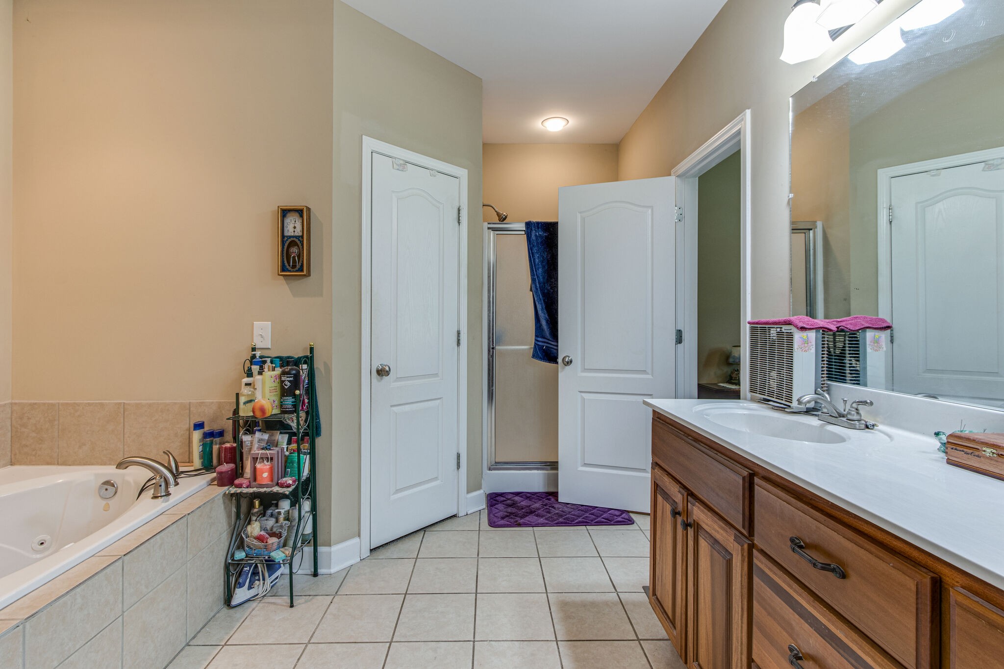 4877 Arnold Drive Murfreesboro, TN 37129 - Photo 9 of 32 a bathroom with a tub sink and a mirror