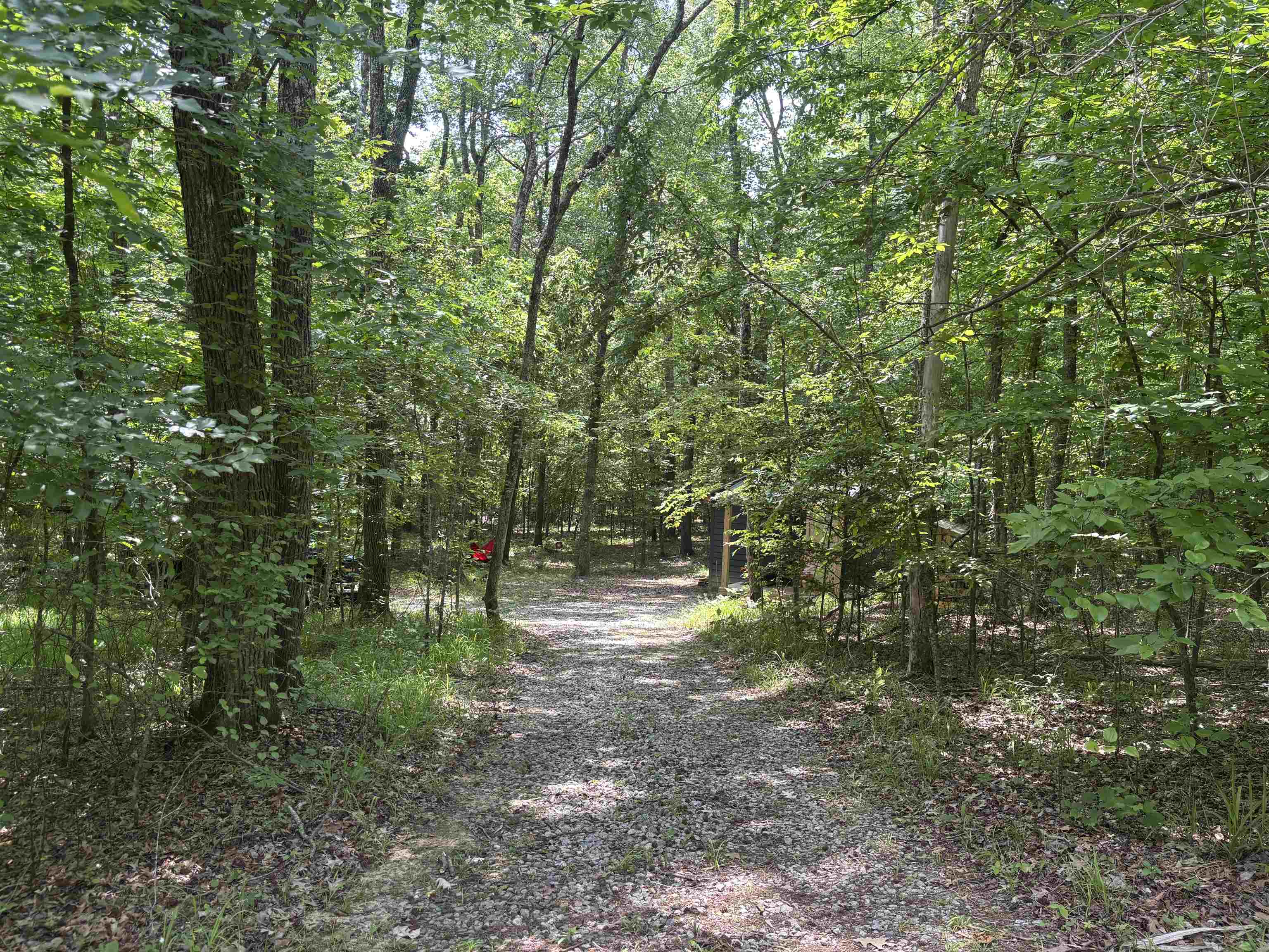 19.5-acres McMahan Road Middleton, TN 38052 - Photo 10 of 28