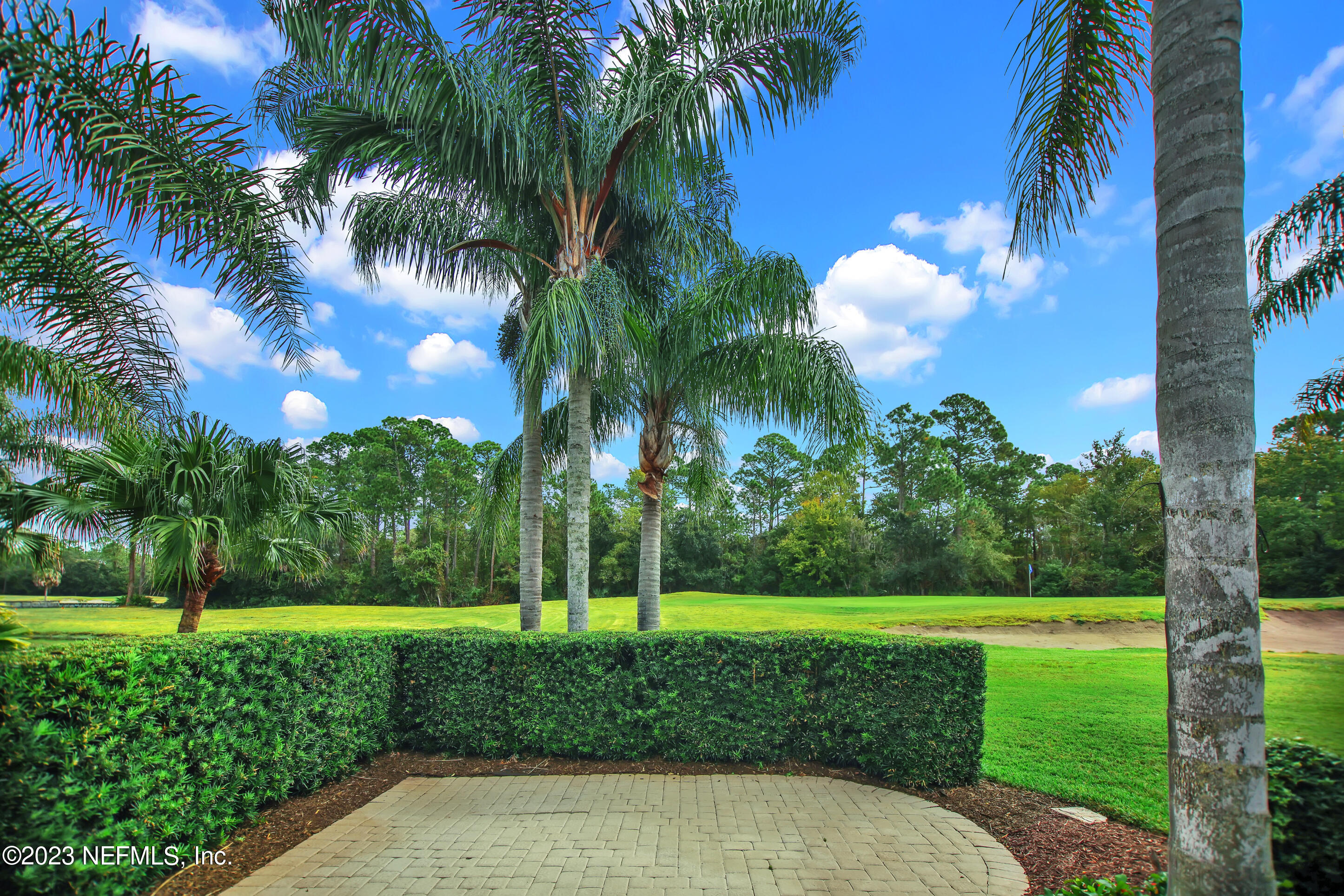 944 Oxford Drive St. Augustine, FL 32084 - Photo 47 of 58 a view of a yard and palm trees