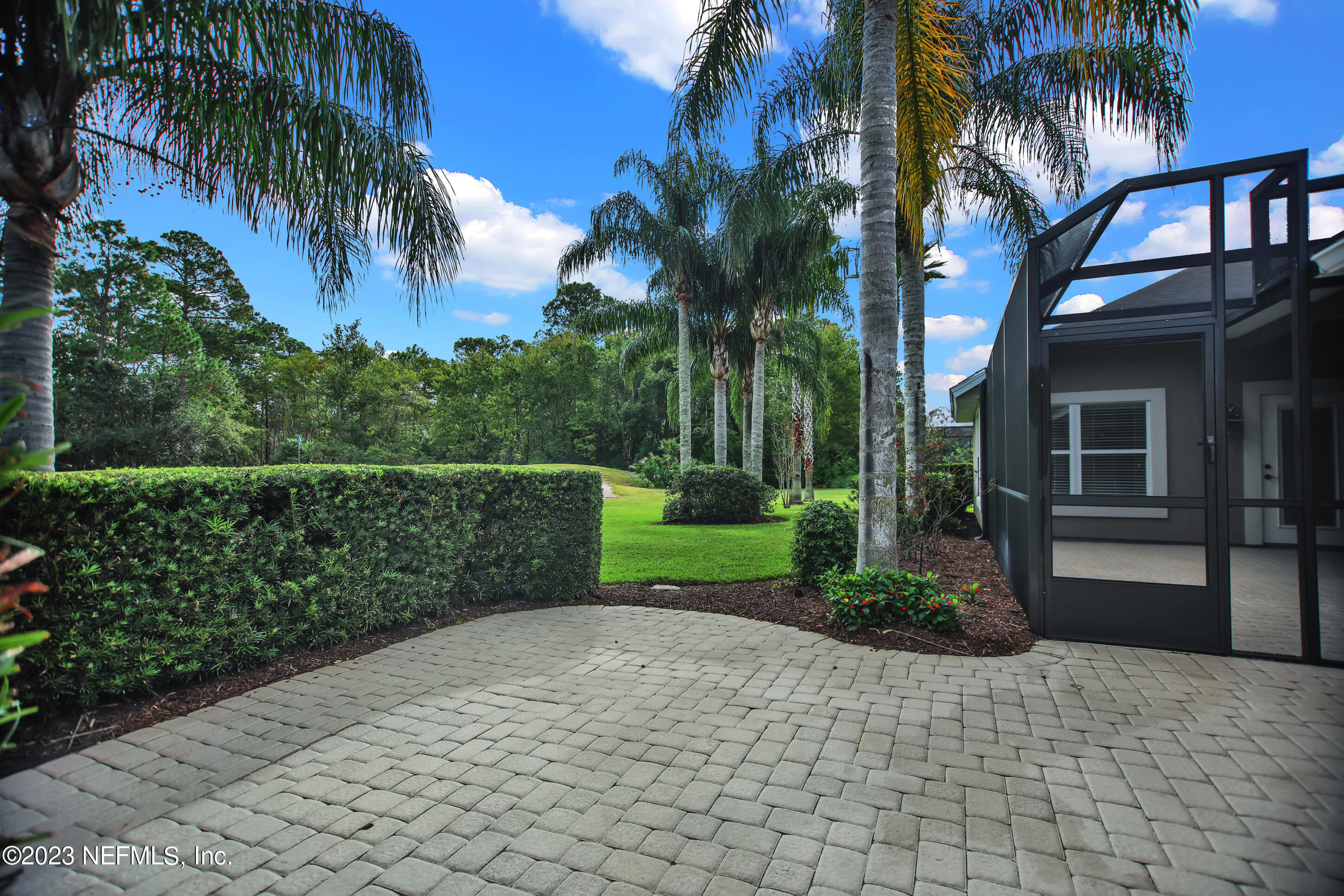 944 Oxford Drive St. Augustine, FL 32084 - Photo 50 of 58 a view of a garden with a palm trees