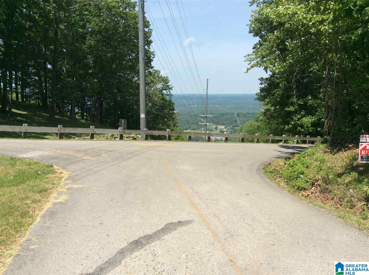 0 County Road 89, Unit 1 Mentone, AL 35984 - Photo 8 of 10