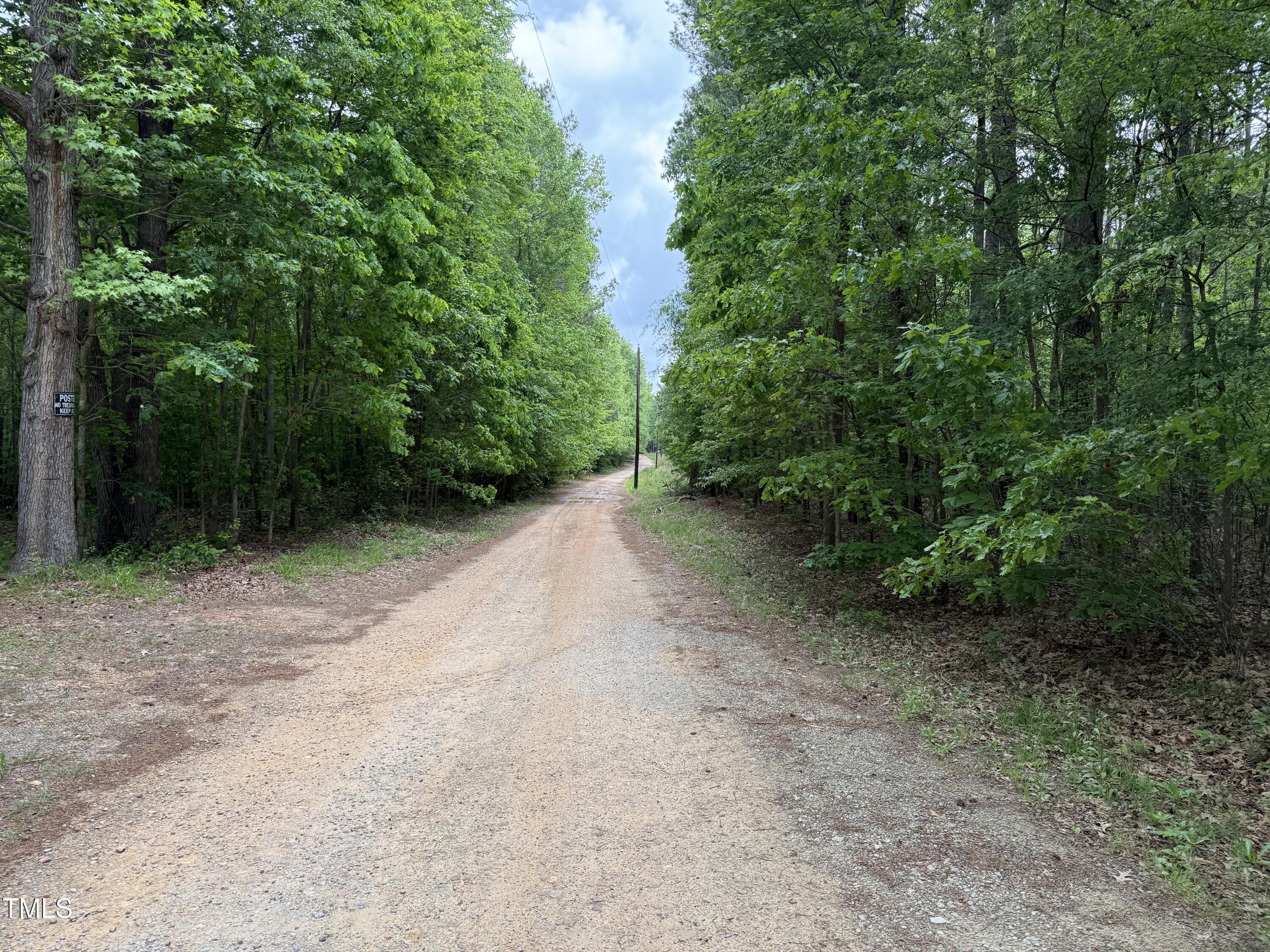 a view of a dirt road with trees in the background