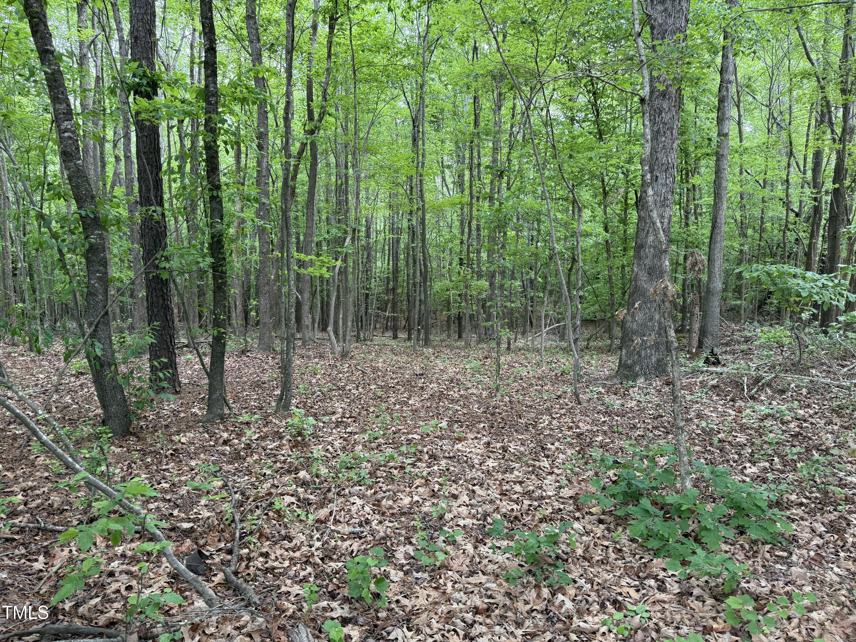 1 Rainbow Canyon Road Clayton, NC 27527 - Photo 4 of 10 a view of outdoor space and green space