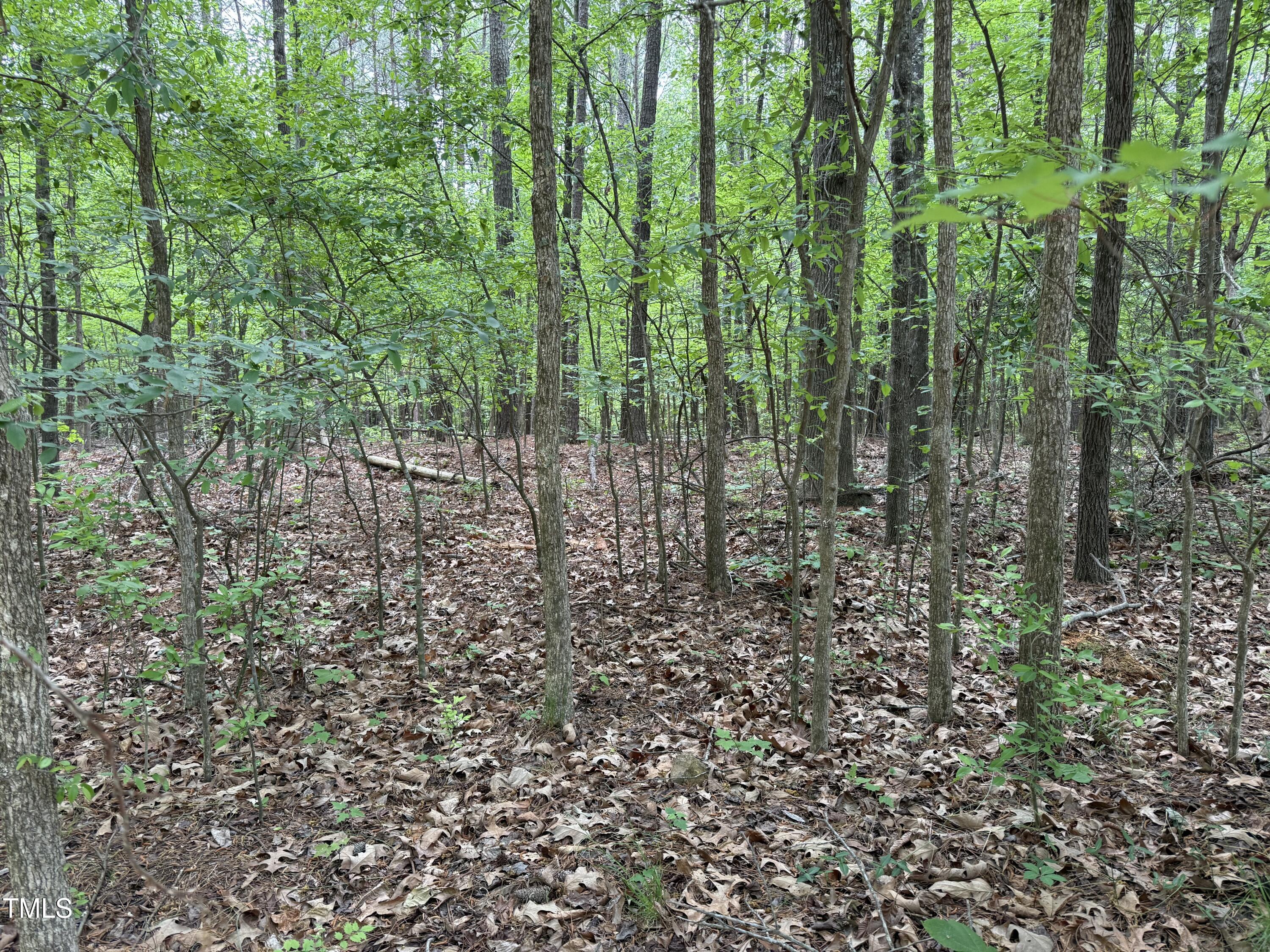 1 Rainbow Canyon Road Clayton, NC 27527 - Photo 5 of 10 a view of forest