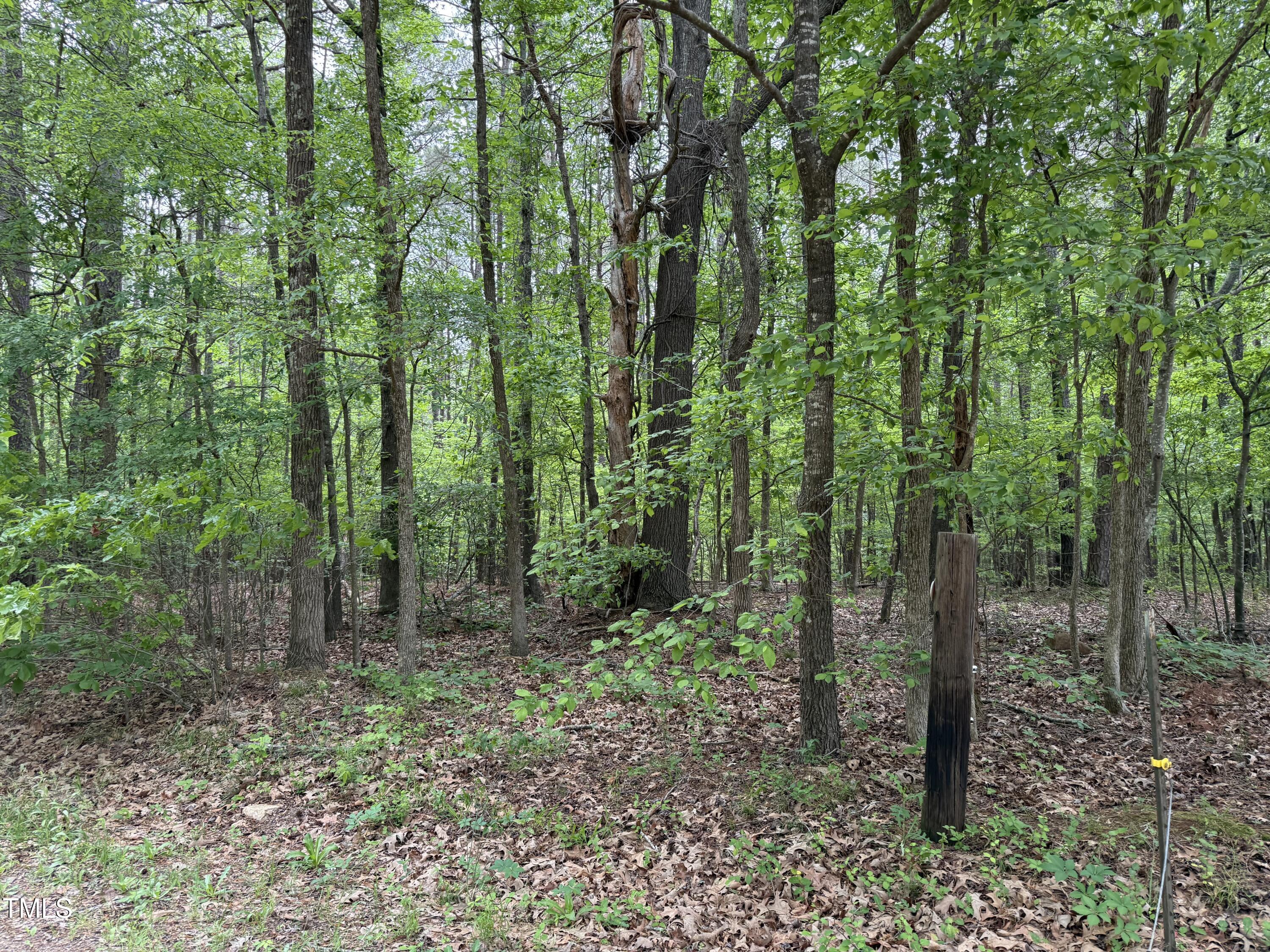1 Rainbow Canyon Road Clayton, NC 27527 - Photo 6 of 10 a view of forest