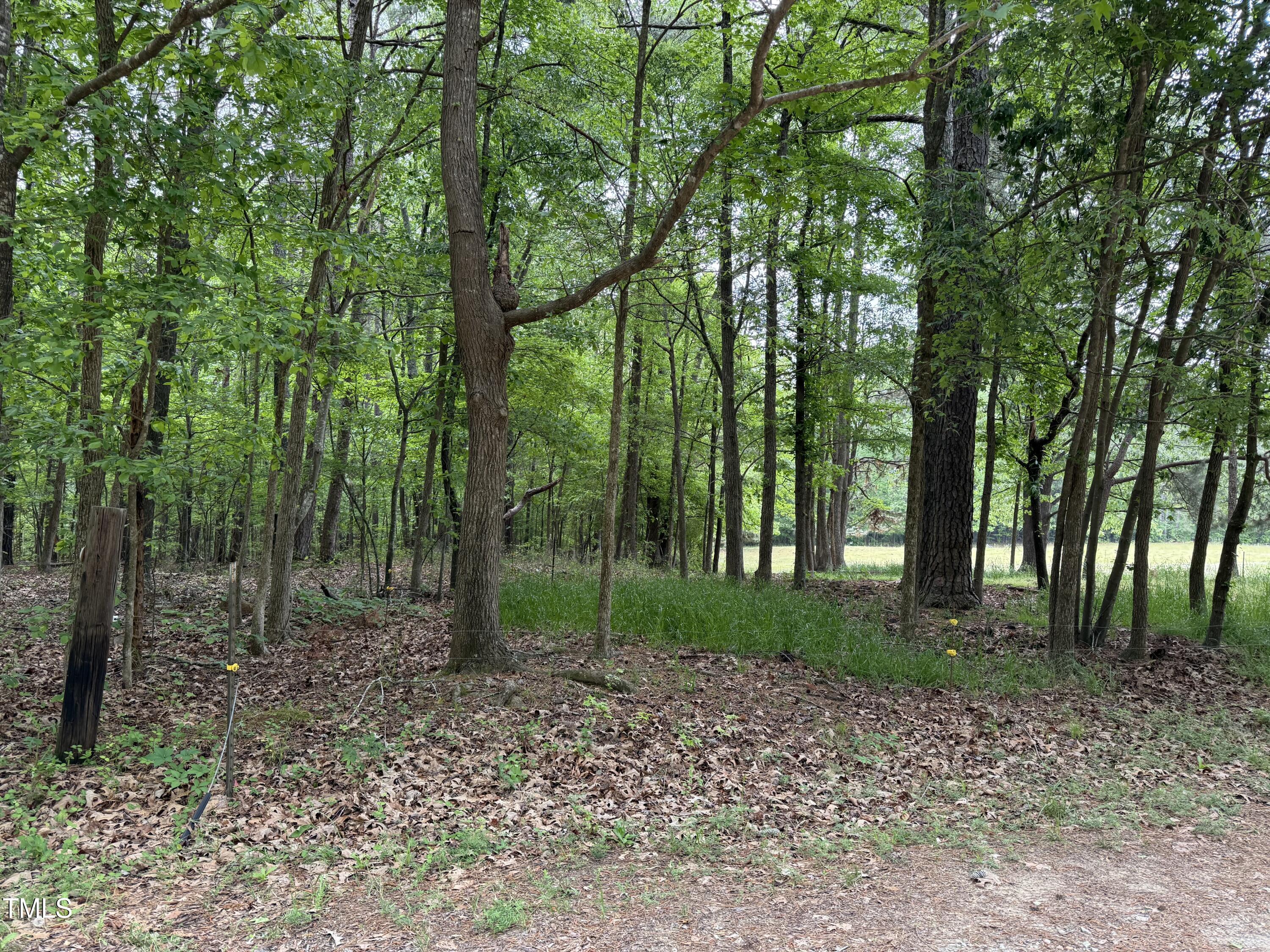 1 Rainbow Canyon Road Clayton, NC 27527 - Photo 7 of 10 a view of a forest