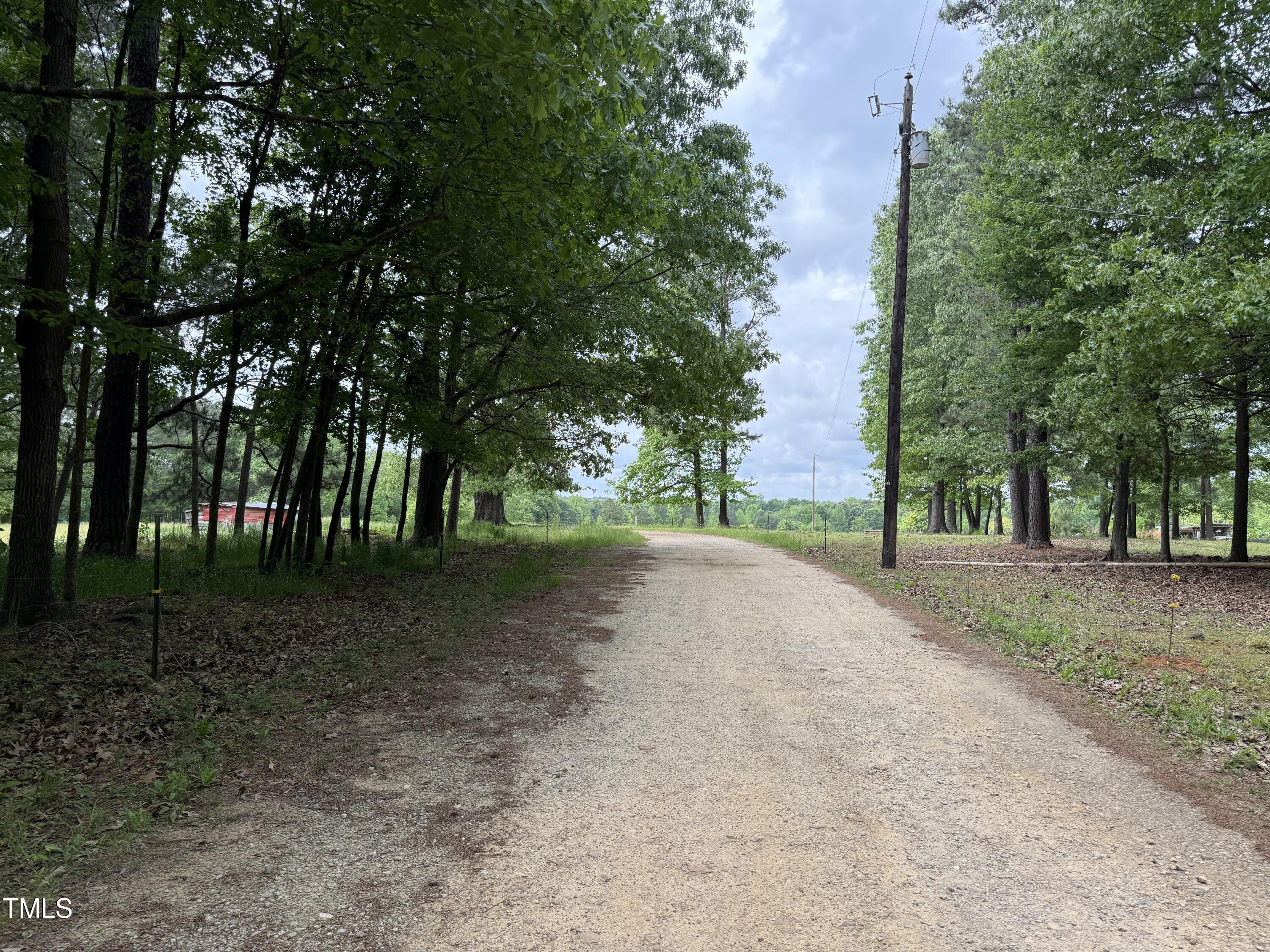 1 Rainbow Canyon Road Clayton, NC 27527 - Photo 8 of 10 a view of a tree in the middle of a yard