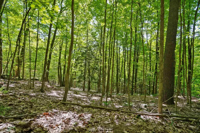 $225,000 | 77 Prospect Street, Unit 132, Lebanon, NH 03766