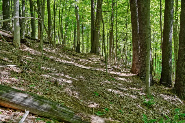 $225,000 | 77 Prospect Street, Unit 132, Lebanon, NH 03766