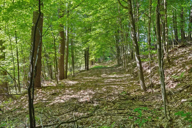 $225,000 | 77 Prospect Street, Unit 132, Lebanon, NH 03766