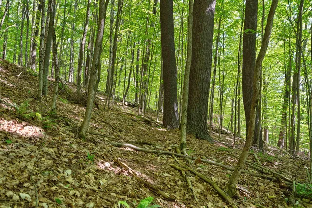 $225,000 | 77 Prospect Street, Unit 132, Lebanon, NH 03766