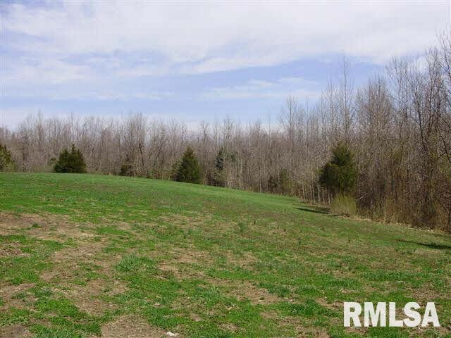 527 Clark School Road Jacob, IL 62950 - Photo 5 of 6