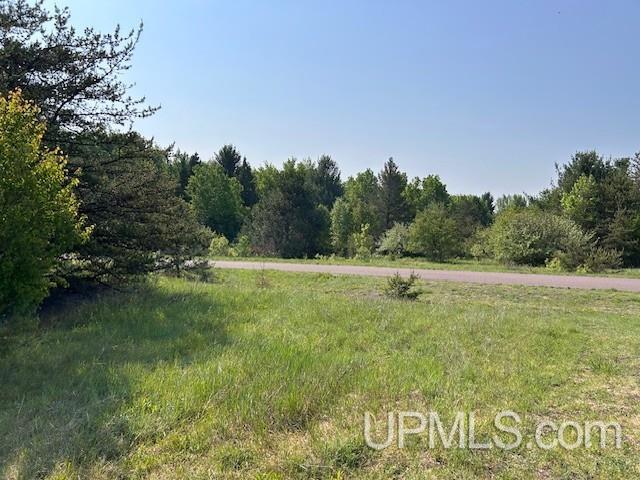 13408 West Jackola ( Road Atlantic Mine, MI 49905 - Photo 1 of 21