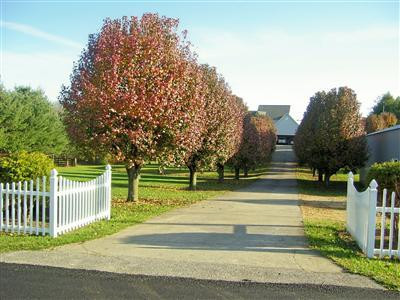 101 Helvetia Road London, KY 40741 - Photo 28 of 28 Photo 28
