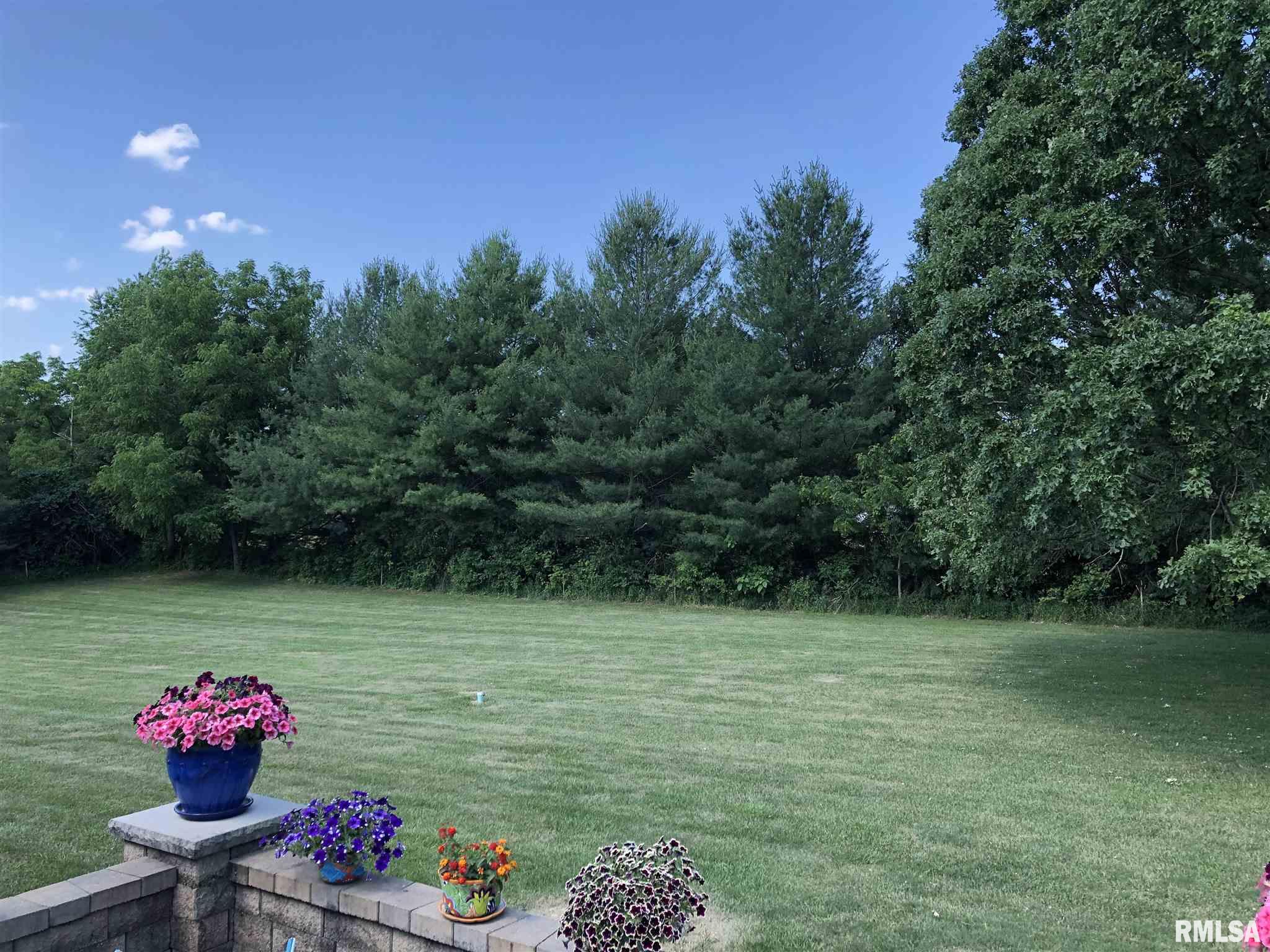 4152 Mt Zion School Road Springfield, IL 62711 - Photo 43 of 50