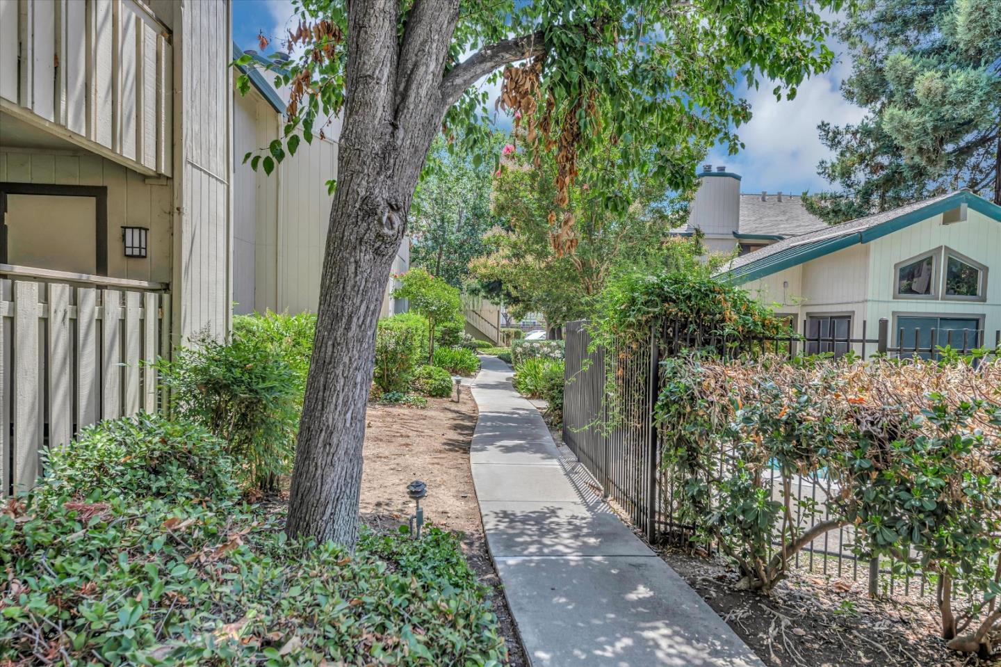 1415 Alma Loop San Jose, CA 95125 - Photo 21 of 25 a backyard of a house with lots of green space