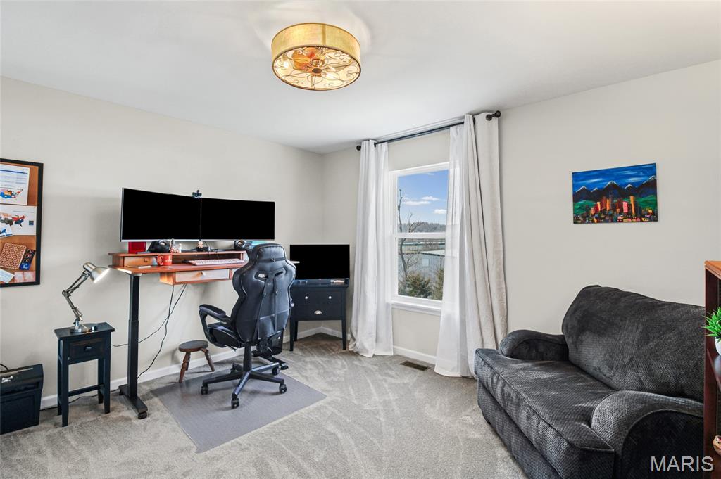 5341 Lakepath Way Eureka, MO 63025 - Photo 24 of 41