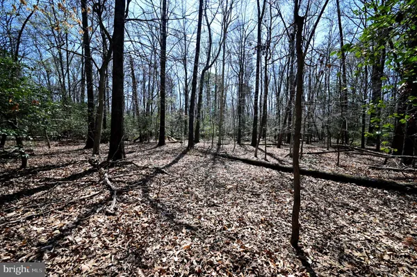 $275,000 | Indian Head Highway, Accokeek, MD 20607