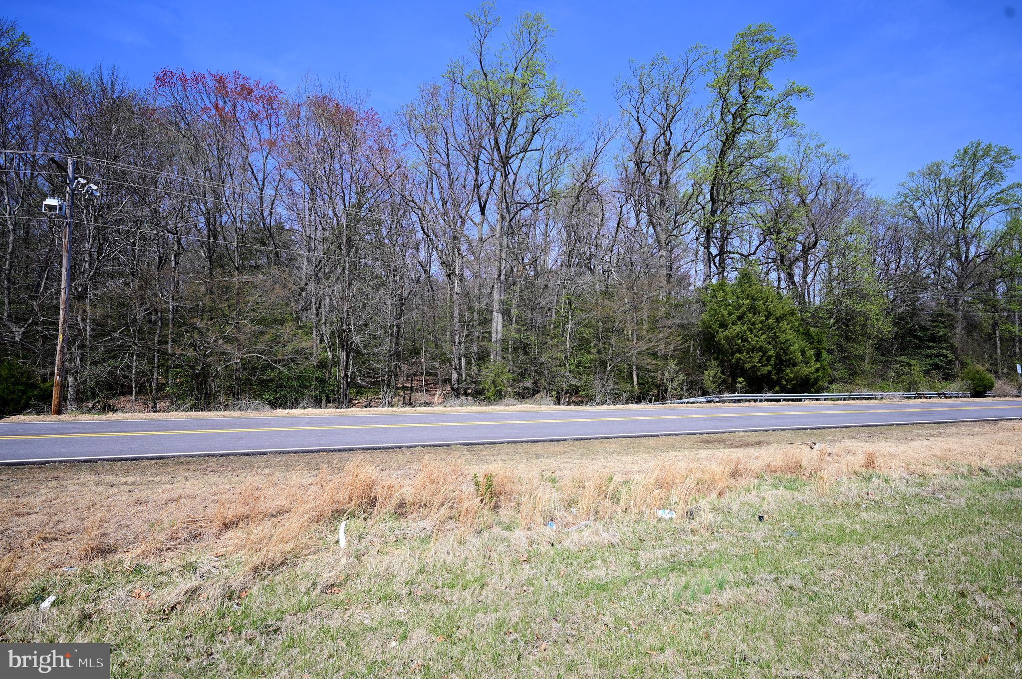 Indian Head Highway Accokeek, MD 20607 - Photo 11 of 17 a view of a yard with large trees
