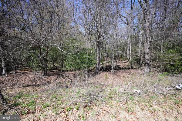 $275,000 | Indian Head Highway, Accokeek, MD 20607