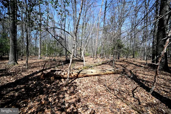 $275,000 | Indian Head Highway, Accokeek, MD 20607
