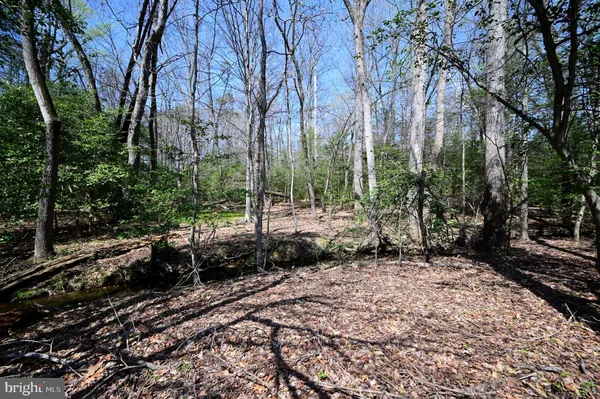 $275,000 | Indian Head Highway, Accokeek, MD 20607