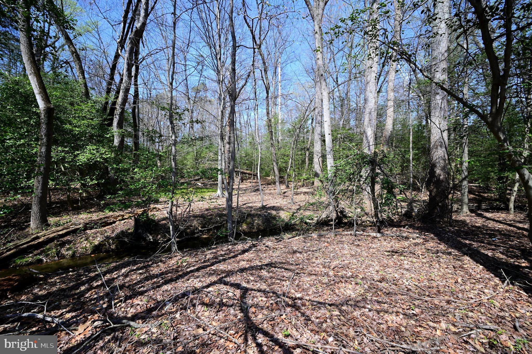 Indian Head Highway Accokeek, MD 20607 - Photo 4 of 17 a view of a backyard of the house