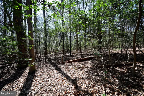 $275,000 | Indian Head Highway, Accokeek, MD 20607