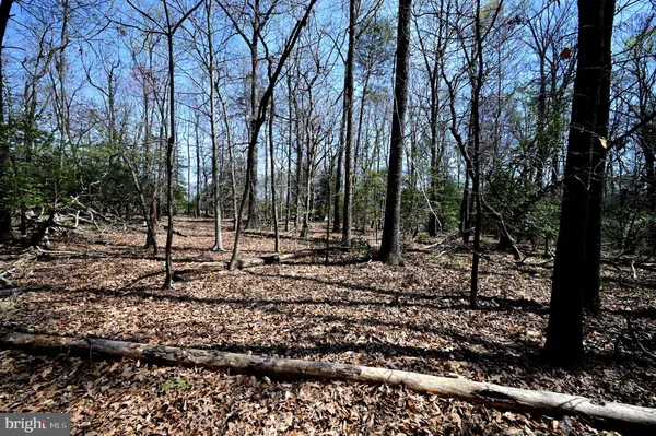 $275,000 | Indian Head Highway, Accokeek, MD 20607