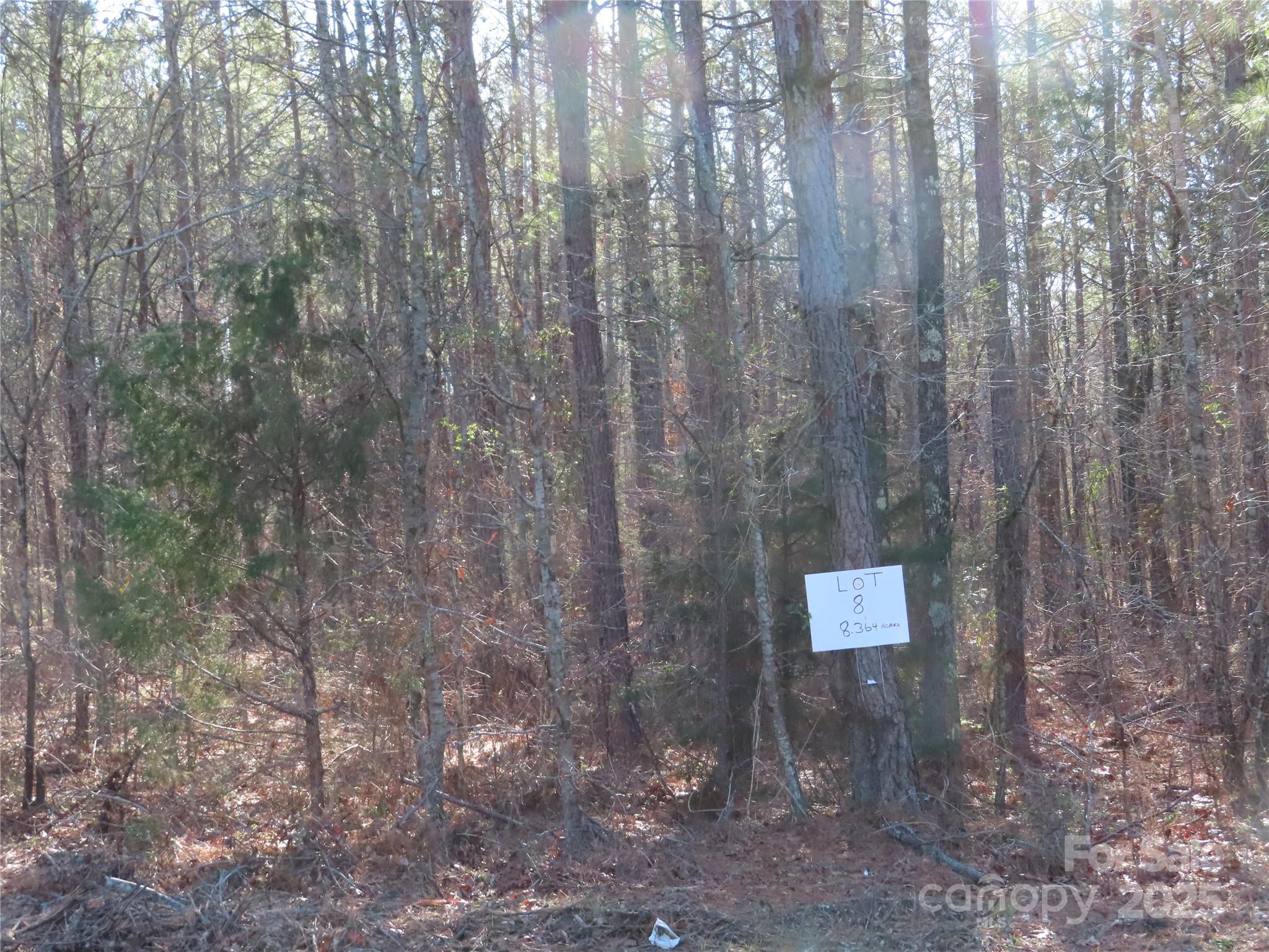 Lot 8 Winter Road, Unit 8 Rock Hill, SC 29730 - Photo 1 of 2 Gallery Image 1