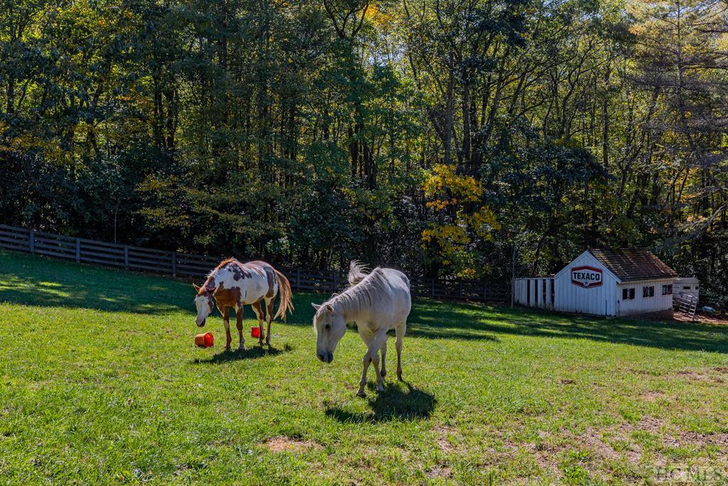144 Laurel Knob Road Cashiers, NC 28717 - Photo 27 of 54 Gallery Image 27