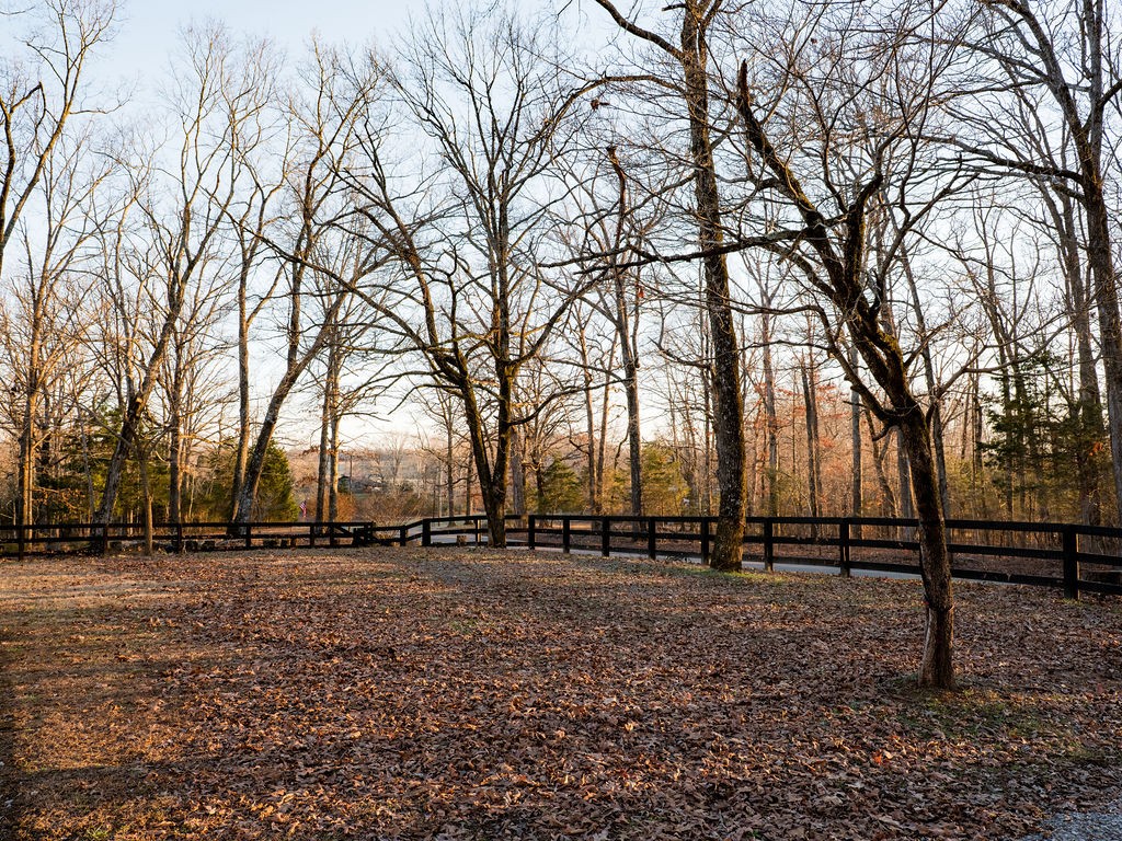 7305 Michael Lankford Road Fairview, TN 37062 - Photo 27 of 29