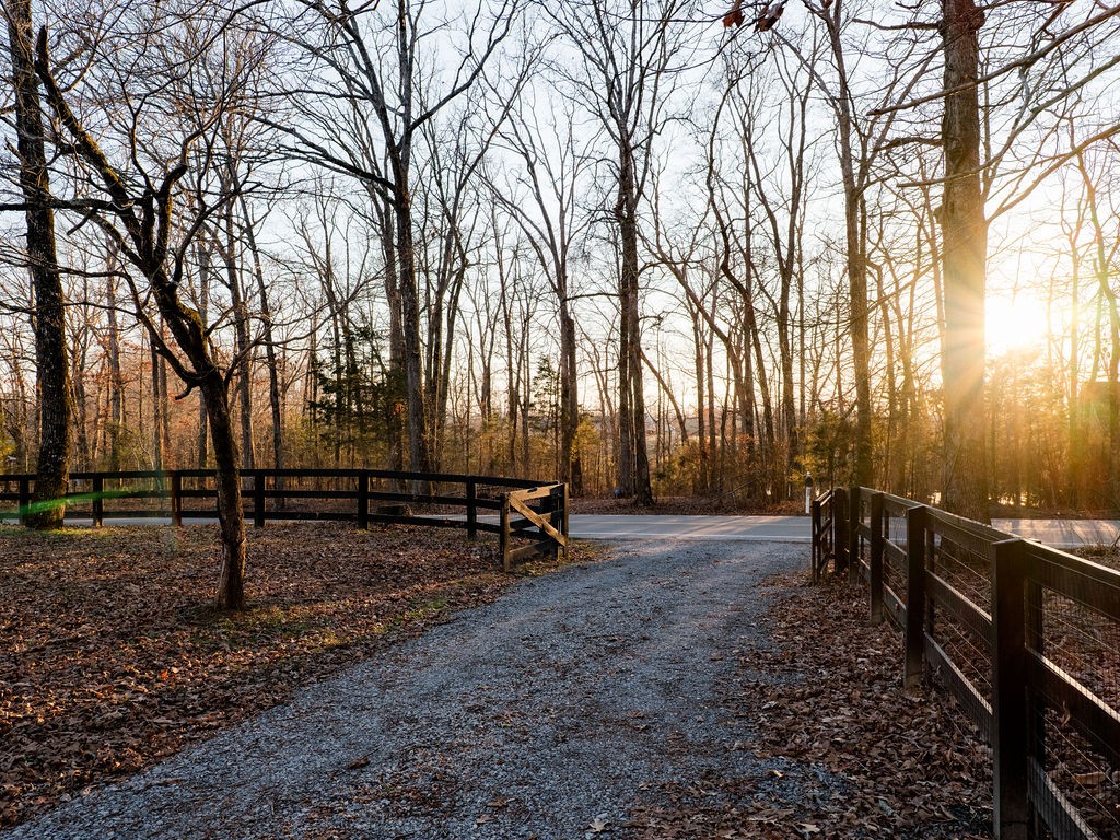 7305 Michael Lankford Road Fairview, TN 37062 - Photo 28 of 29