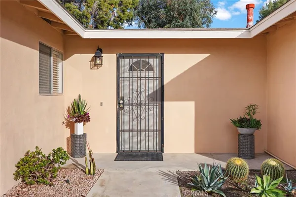 a potted plant sitting in front of a door