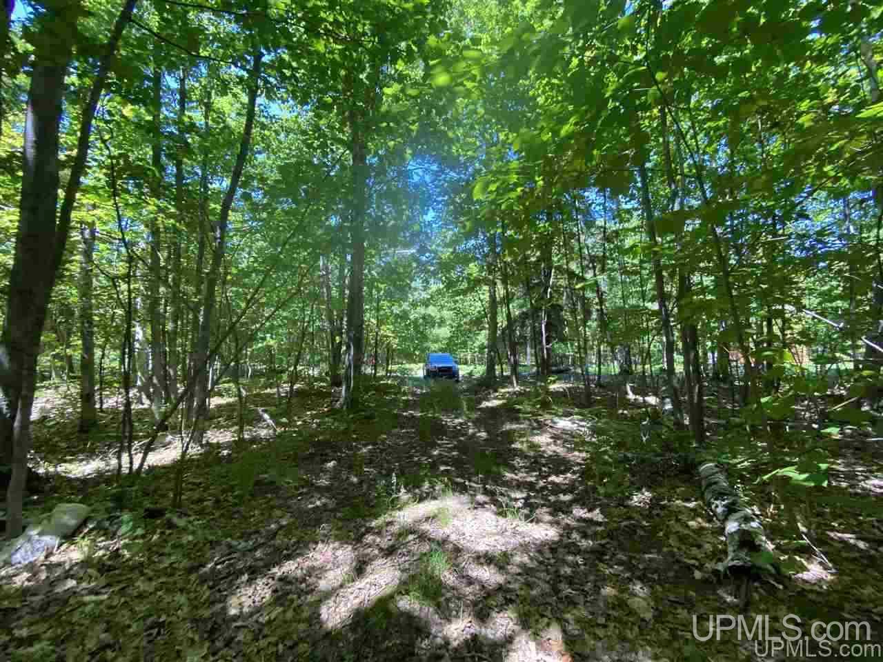 3423 Co Road Big Bay, MI 49808 - Photo 22 of 27