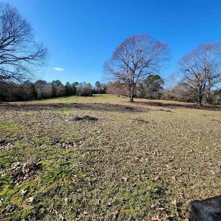 a view of a yard with a yard