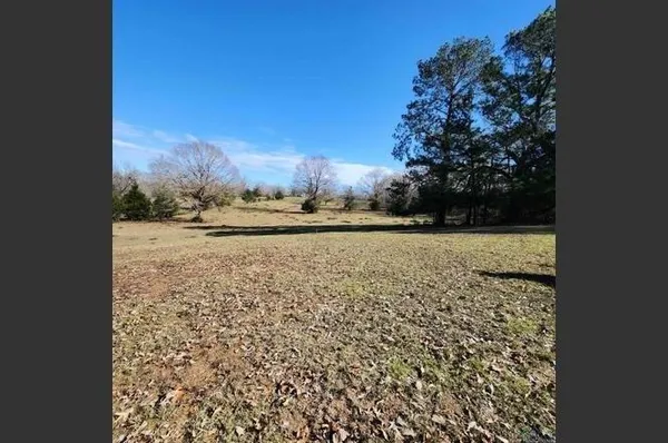a view of backyard with green space