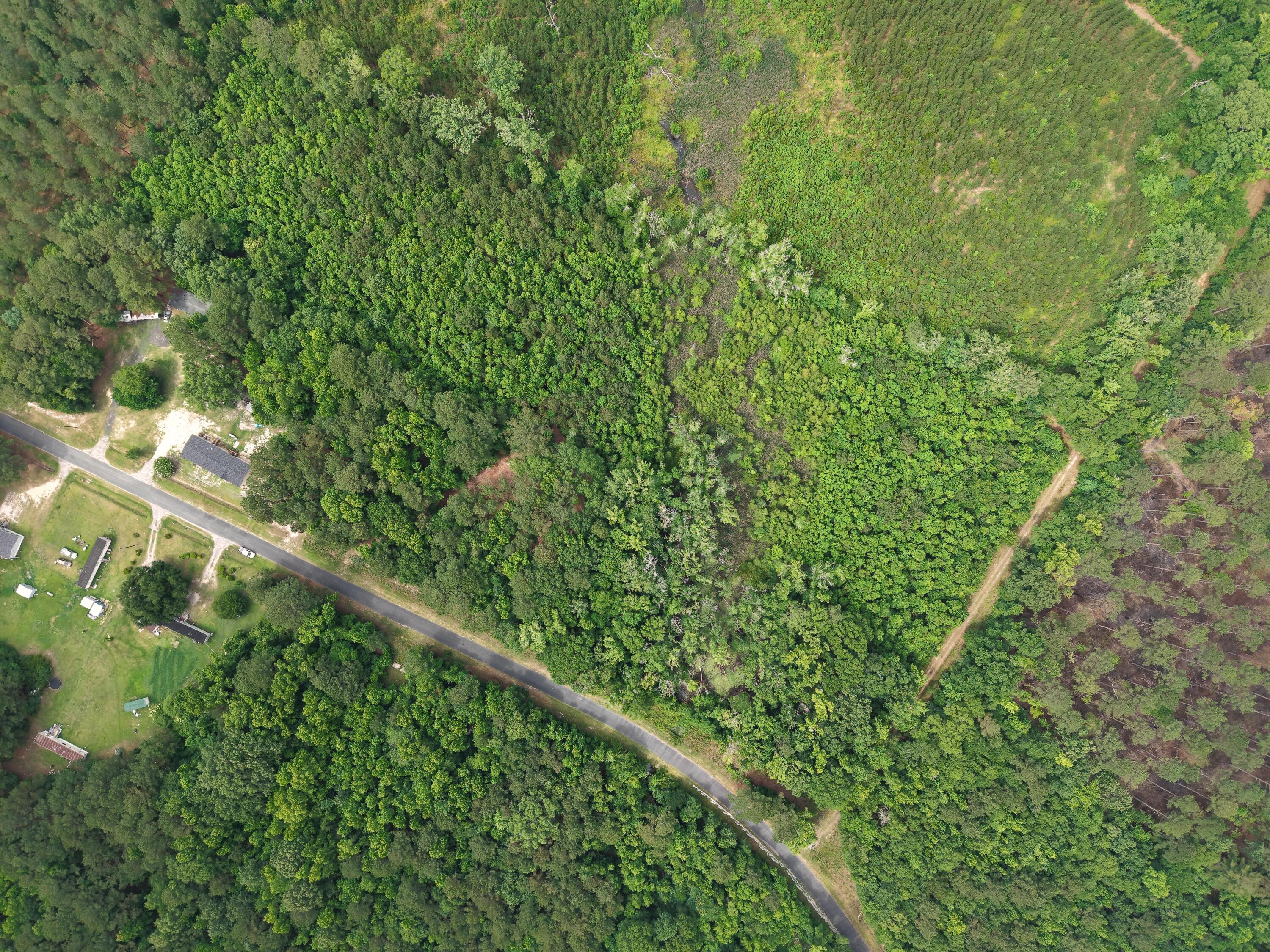 0 Hickory Hill Road Green Pond, SC 29446 - Photo 18 of 20 DJI_20260527154542_0213_D