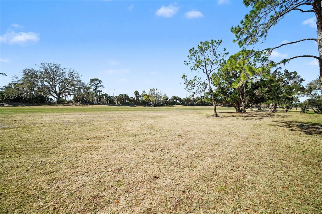 9124 Bassett Lane New Port Richey, FL 34655 - Photo 29 of 41
