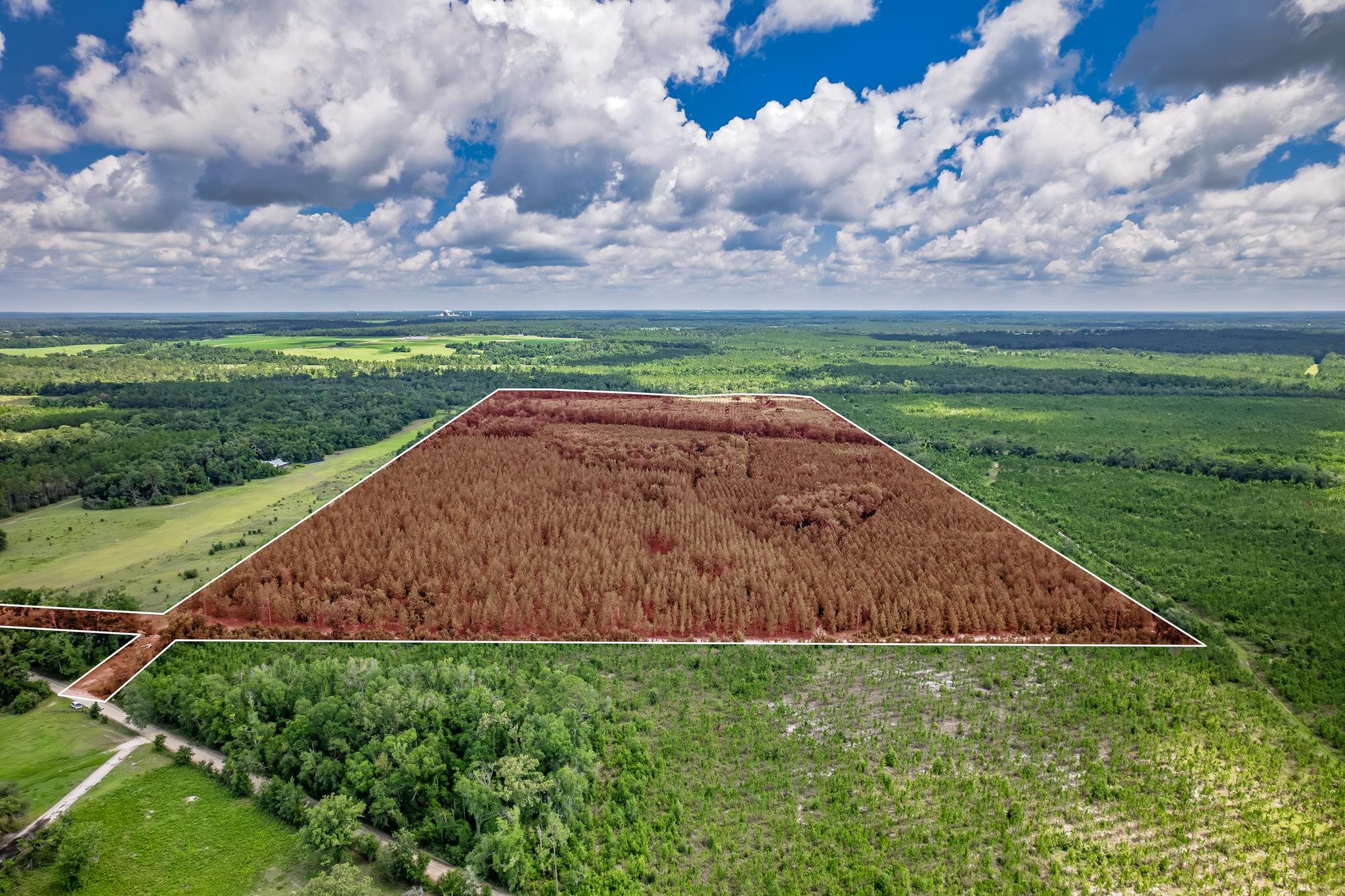 Xxx Northeast Hickory Grove Road Pinetta, FL 32350 - Photo 29 of 32