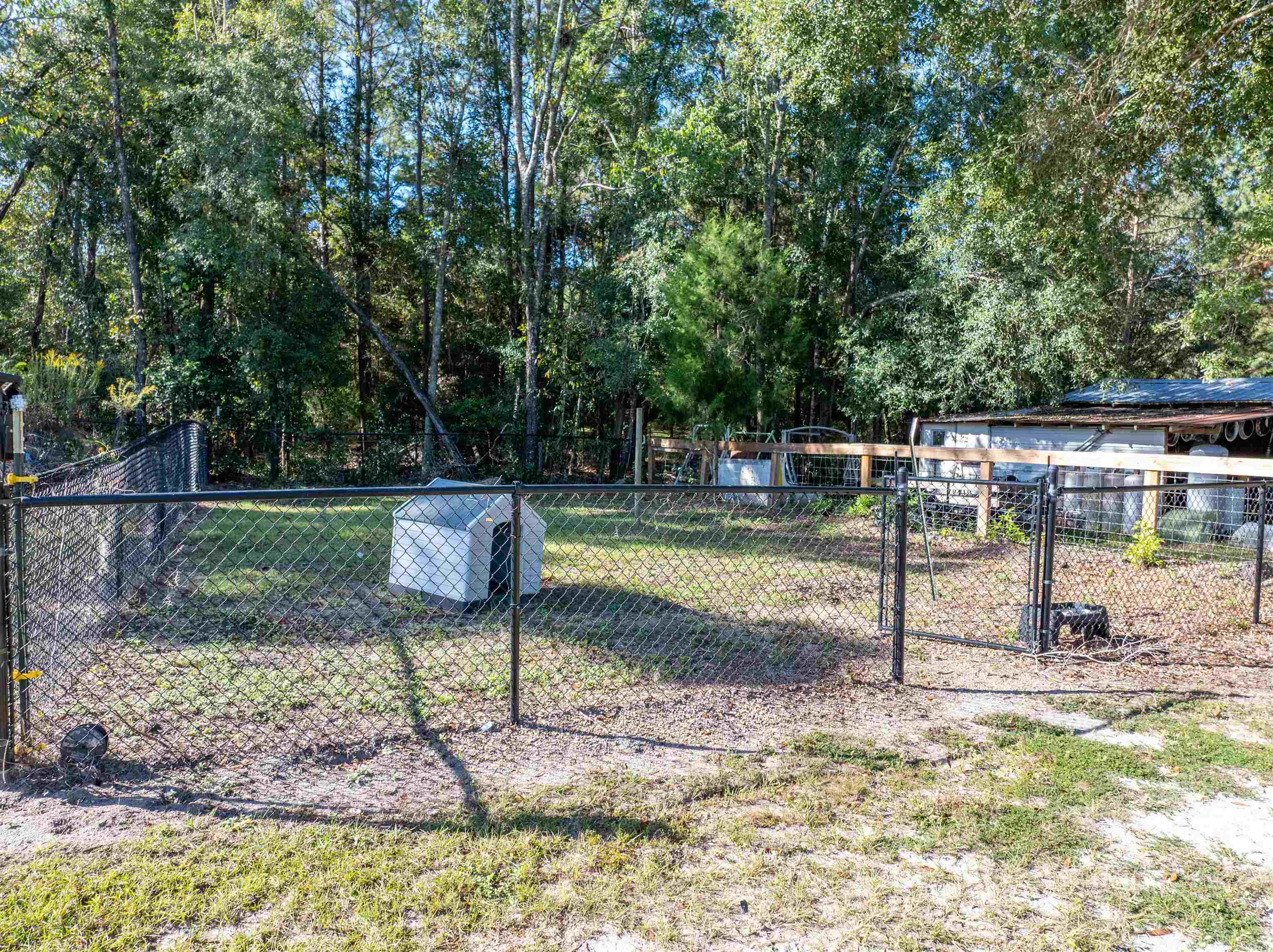 983 St Thomas Church Road Madison, FL 32340 - Photo 47 of 57