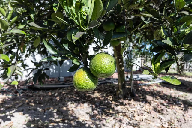 $425,000 | 983 St Thomas Church Road, Madison, FL 32340