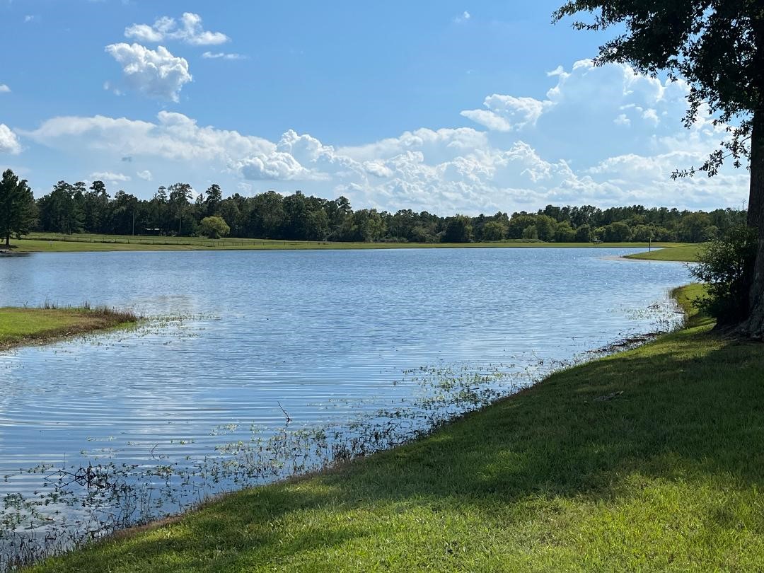 16023 Ridge Oak Road Willis, TX 77378 - Photo 2 of 7 a view of a lake with houses in the background