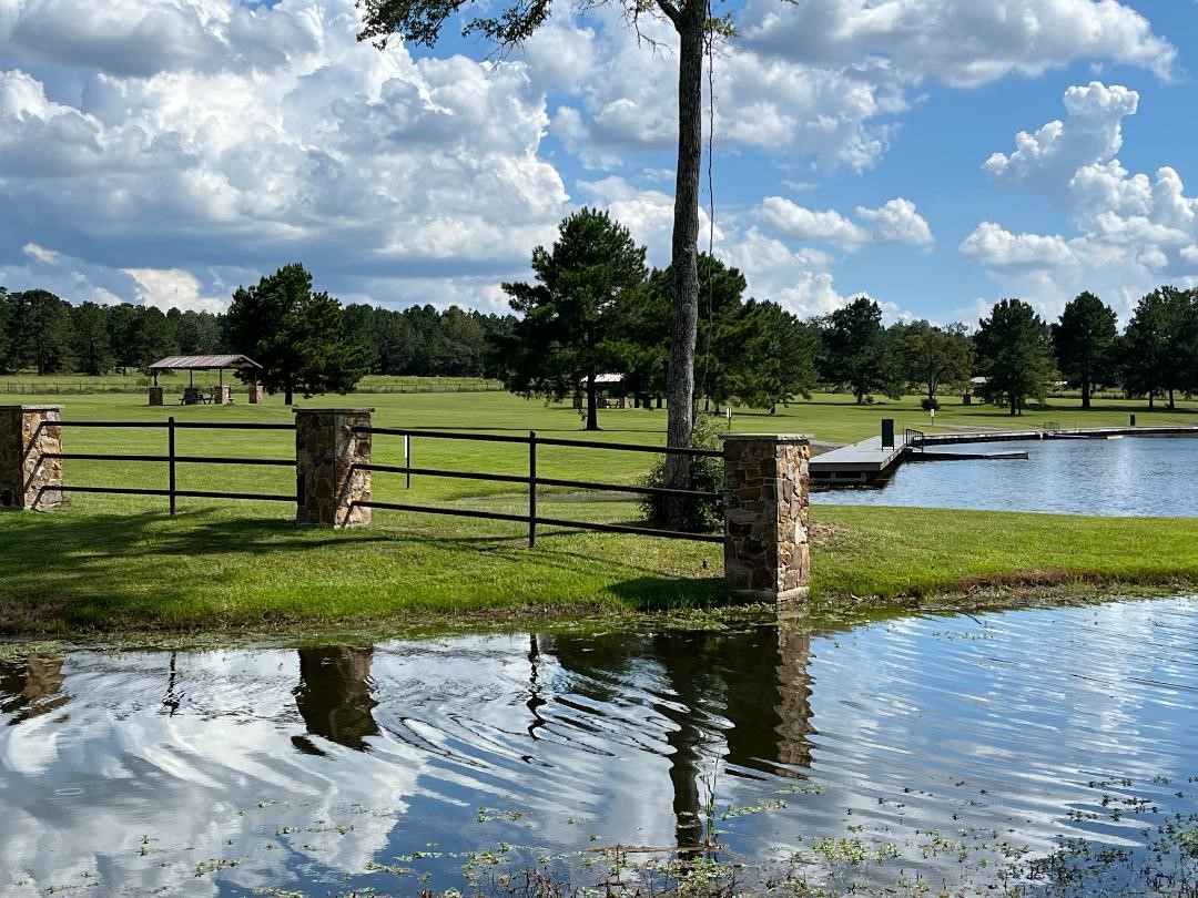 16023 Ridge Oak Road Willis, TX 77378 - Photo 3 of 7 a view of a garden with sitting area