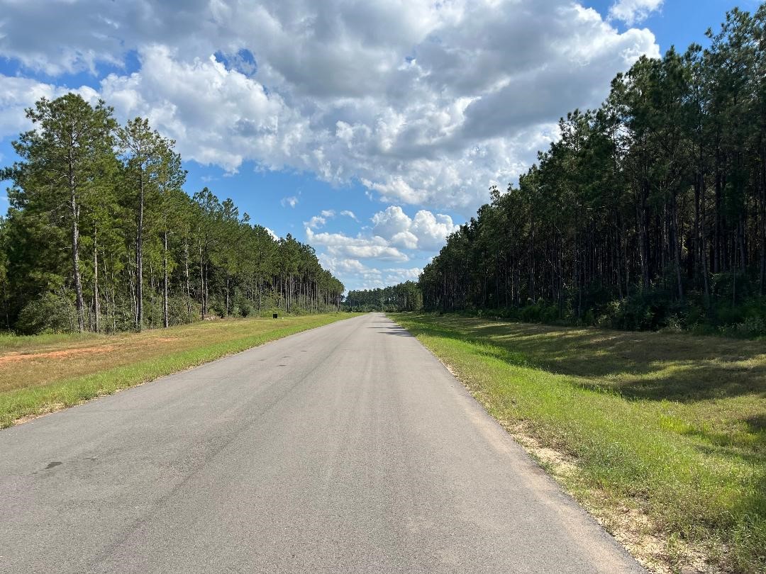 16023 Ridge Oak Road Willis, TX 77378 - Photo 7 of 7 a view of a park with large trees